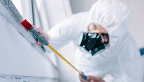 Best Pest Control for Multi-Family Homes  in Westlake, TX